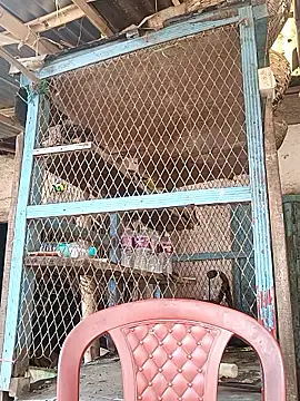 Skinny Bigass 23 online show from February 3, 7:02 am