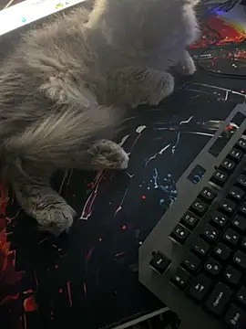 Snapshot of Leo-Cock chatting on March 26, 9:51 am Leo-Cock online show from March 26, 9:51 am