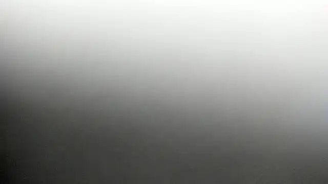 Jessi powel online show from March 22, 12:18 pm