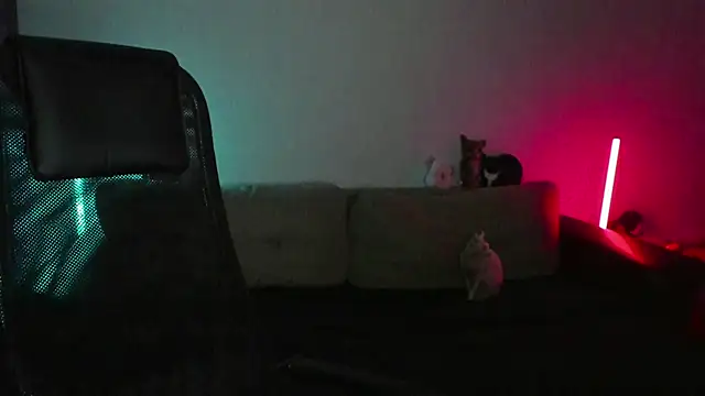 Ostin meow online show from April 7, 2:30 pm