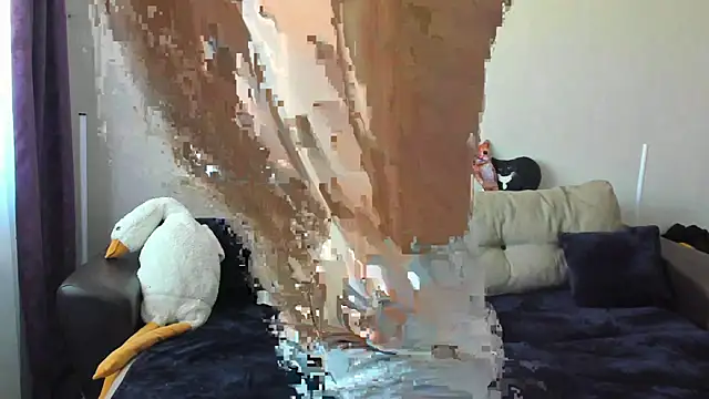 Ostin meow online show from September 17, 6:26 am