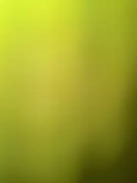 faaseel online show from March 11, 8:08 am