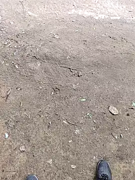 faaseel online show from October 8, 7:21 am