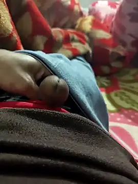 faaseel online show from December 17, 2:33 pm