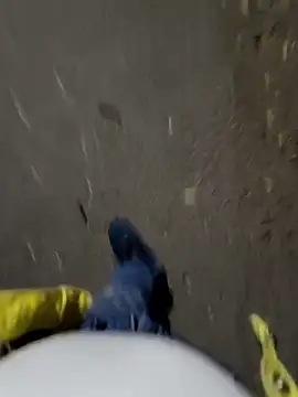 faaseel online show from November 3, 12:42 pm