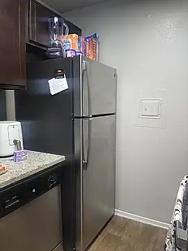 TwilightSiren online show from January 11, 1:06 am