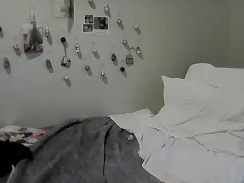 housewife shantie online show from November 30, 12:17 pm