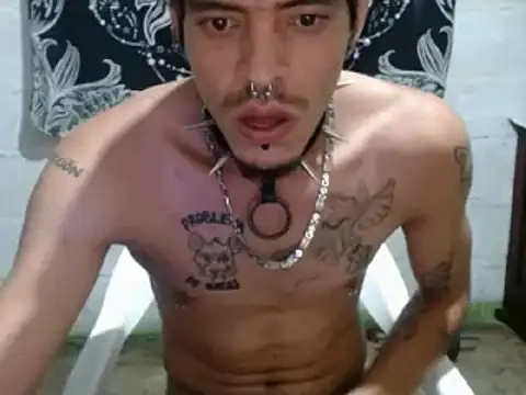 Snapshot of tayler_punk_noise chatting on December 27, 7:14 pm tayler punk noise online show from December 27, 7:14 pm