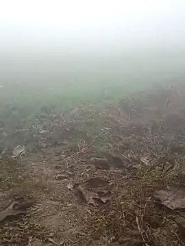 imissyoumylove14 online show from January 17, 1:31 am