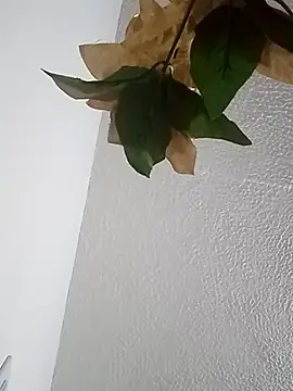 Naomy veracruz  online show from February 13, 10:59 am