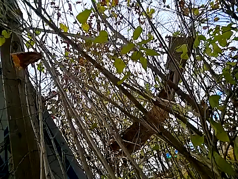 Fuckboy4public online show from November 6, 5:39 pm