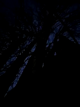 Fuckboy4public online show from November 20, 9:58 pm