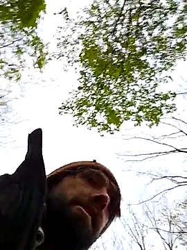 Fuckboy4public online show from October 31, 9:32 pm