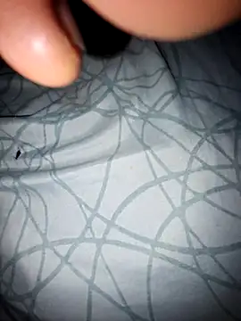 Snapshot of lemon69Reo chatting on November 6, 5:44 am lemon69Reo online show from November 6, 5:44 am