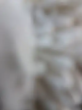 Snapshot of lemon69Reo chatting on February 15, 8:41 pm lemon69Reo online show from February 15, 8:41 pm