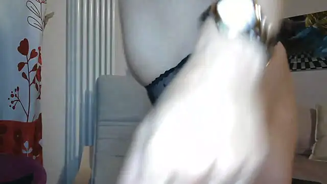 MISXY online show from September 12, 8:36 am