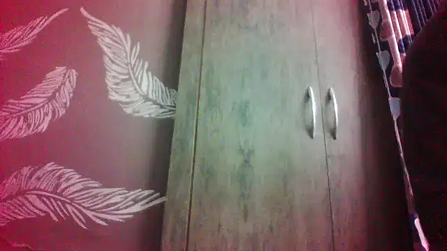 shalini fire online show from February 14, 9:53 am