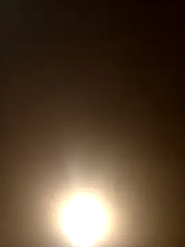 Morguisssz online show from September 28, 11:55 pm
