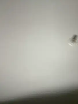 Morguisssz online show from October 31, 12:51 am