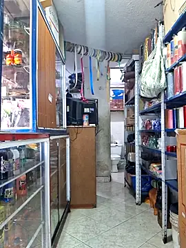 nidia2026 online show from December 22, 3:56 pm