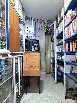 nidia2026 online show from February 19, 3:42 pm