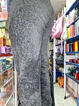 nidia2026 online show from December 2, 12:18 pm