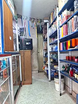 nidia2026 online show from November 15, 1:59 pm