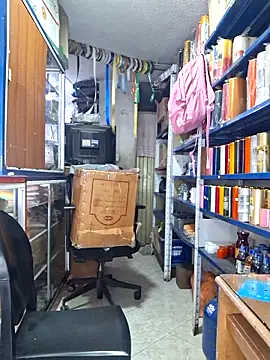 nidia2026 online show from April 12, 3:59 pm