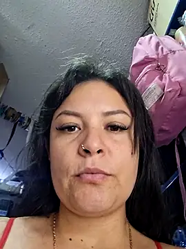 nidia2026 online show from April 14, 1:27 pm