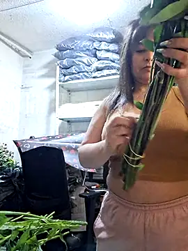 nidia2026 online show from May 15, 4:16 pm