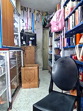 nidia2026 online show from February 8, 4:15 pm