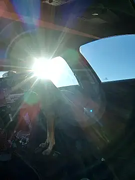 DatingProfile USA 43 str8 online show from October 6, 3:35 pm