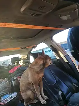 DatingProfile USA 43 str8 online show from October 4, 12:12 am