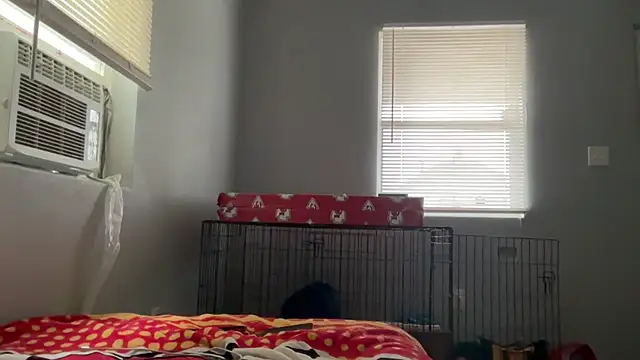 skarfosbabes69 online show from March 23, 1:00 pm