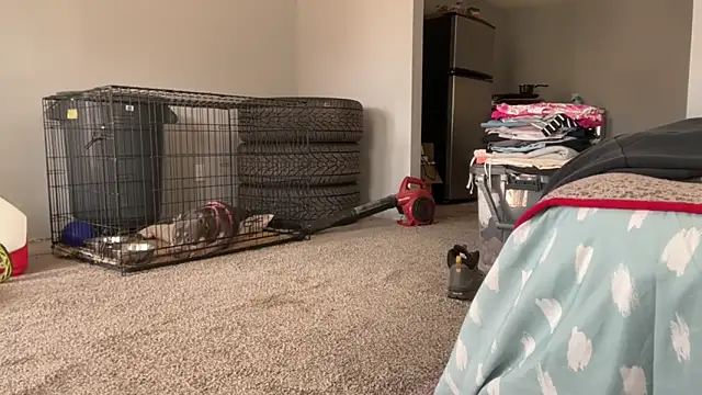 skarfosbabes69 online show from March 20, 4:30 pm