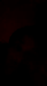 Bigote Big0357 online show from January 12, 9:08 pm