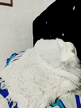 ElizabethWeil online show from December 15, 3:18 pm