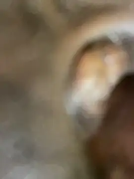 GangsterCouple-Aimy-Jonny online show from February 10, 12:53 am