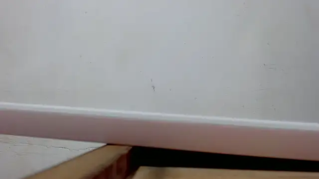 danilo302209 online show from March 10, 10:39 am