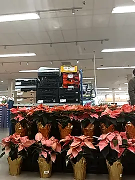 kobrashekyng online show from November 14, 3:37 pm