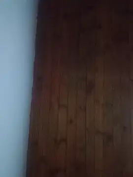 Snapshot of Darly_Gomez chatting on February 18, 11:52 pm Darly Gomez online show from February 18, 11:52 pm