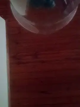 Snapshot of Darly_Gomez chatting on February 17, 10:16 pm Darly Gomez online show from February 17, 10:16 pm