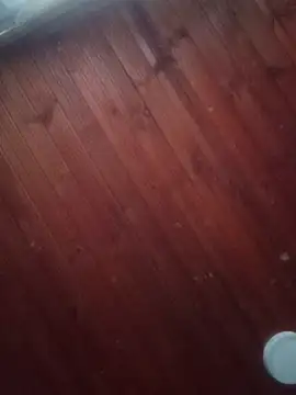 Snapshot of Darly_Gomez chatting on March 3, 10:10 pm Darly Gomez online show from March 3, 10:10 pm