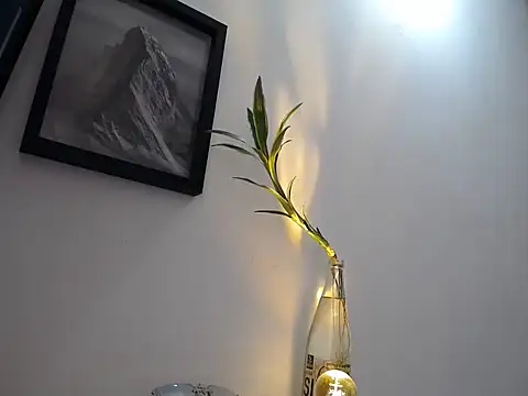 aria jhonsson online show from January 10, 3:51 pm