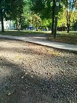 sanek1995sexx online show from September 26, 12:45 pm