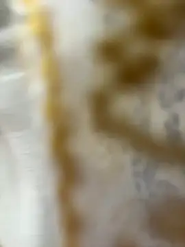 Snapshot of HoneyBearCpl chatting on October 29, 3:33 pm HoneyBearCpl online show from October 29, 3:33 pm