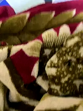 Snapshot of United3 chatting on December 16, 11:03 am United3 online show from December 16, 11:03 am