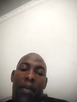 zuludog online show from April 21, 11:33 pm