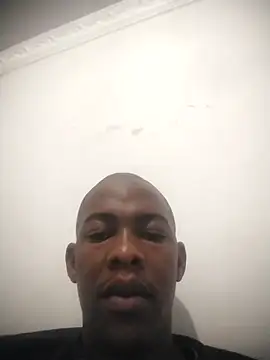 zuludog online show from June 20, 6:18 am