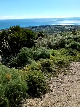 Snapshot of Samira-Summer chatting on February 22, 10:17 am Samira-Summer online show from February 22, 10:17 am